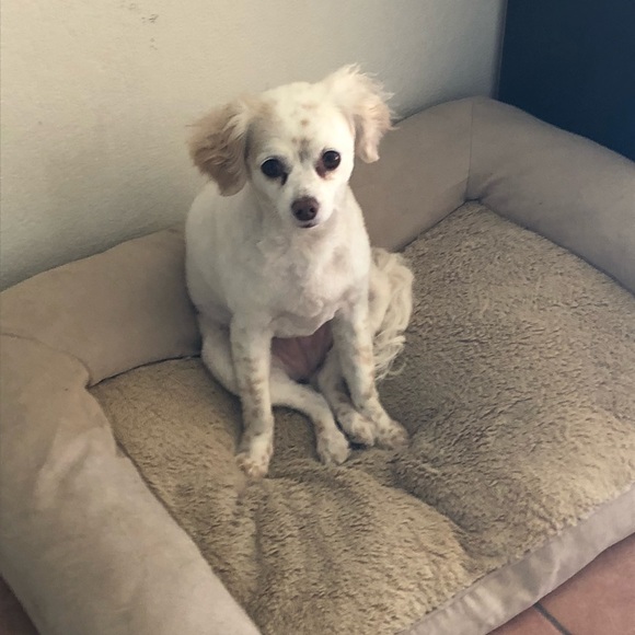 Meet your Posher: Sophie - Picture 5 of 7